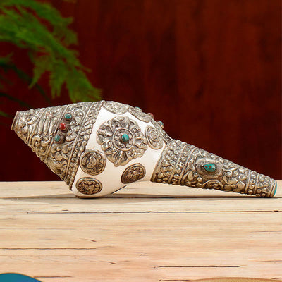 Buddha Stones Tibetan Natural Shankha Conch Shell Seashell Wealth Lucky Home Decoration Decorations BS 9