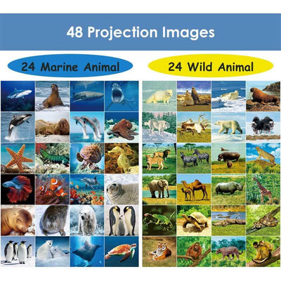 Fidtoy Proyector de Juguete con Linterna para Niños Luz de Aprendizaje Animal y Espacial
