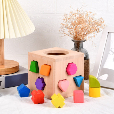 Montessori Shape Sorting Box with 12 Geometric Blocks