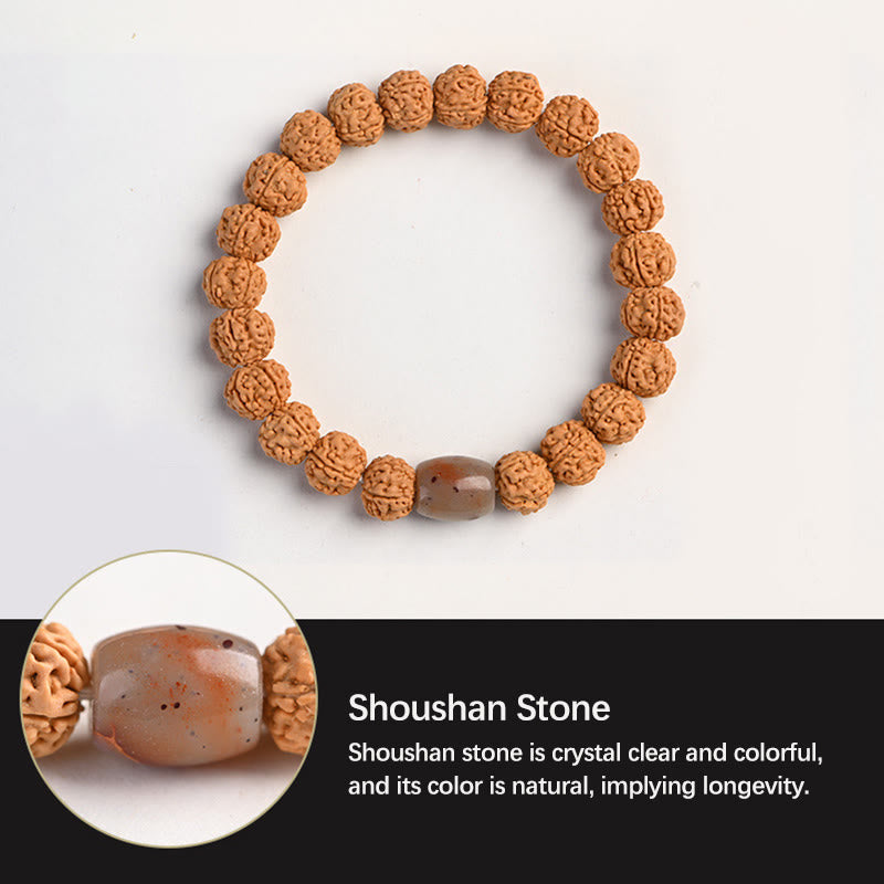 Buddha Stones Tibet Rudraksha Bodhi Seed Wealth Auspiciousness Bracelet Bracelet BS 18