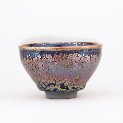 Buddha Stones Handmade Succulent Plant Pattern Chinese Jianzhan Ceramic Teacup Tenmoku Kung Fu Tea Cup Jian Zhan Tea Cup BS 3
