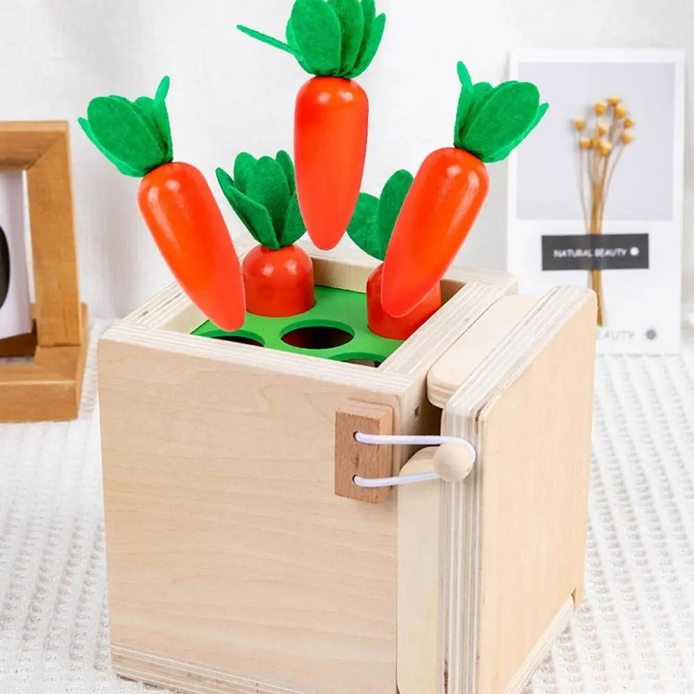 Boîte multifonctionnelle Montessori 6 en 1 pour l'éveil et l'intelligence