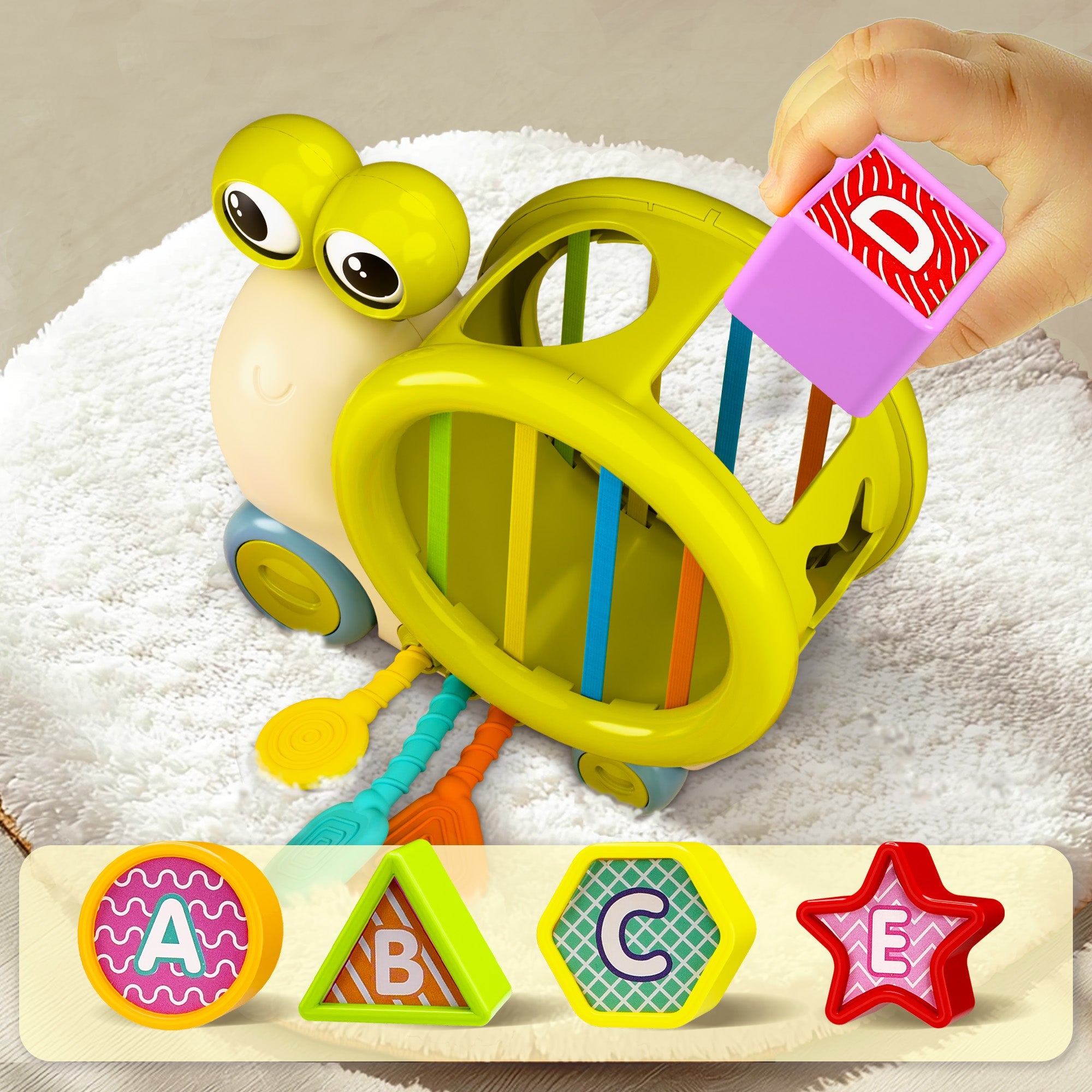 Fidtoy Snail Shape Sorter Push Toy for Babies and Toddlers