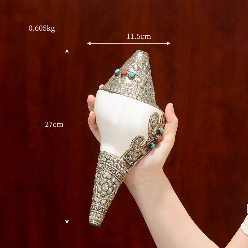 Buddha Stones Tibetan Natural Shankha Conch Shell Seashell Wealth Lucky Home Decoration Decorations BS Large Shankh 27*11.5cm