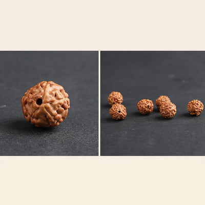 Buddha Stones Tibet Rudraksha Bodhi Seed PiXiu Copper Coin Wealth Luck Bracelet Bracelet BS 12