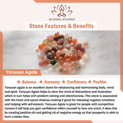 Buddha Stones Yanyuan Agate Cat Claw Paw White Bodhi Seed Fu Character Positive Braided Rope Bracelet Bracelet BS 6