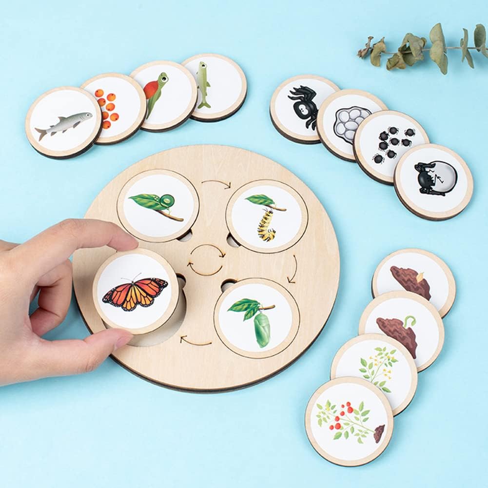 Fidtoy Life Cycle Board Montessori Nature Learning Toy for Kids