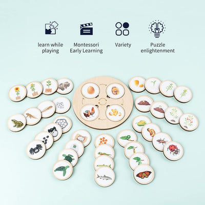 Fidtoy Life Cycle Board Montessori Nature Learning Toy for Kids