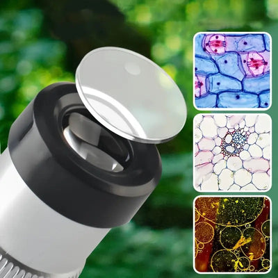 STEAM Ciencia Explora Microscopio Kit de Experimentos 100/600/1200X - 303