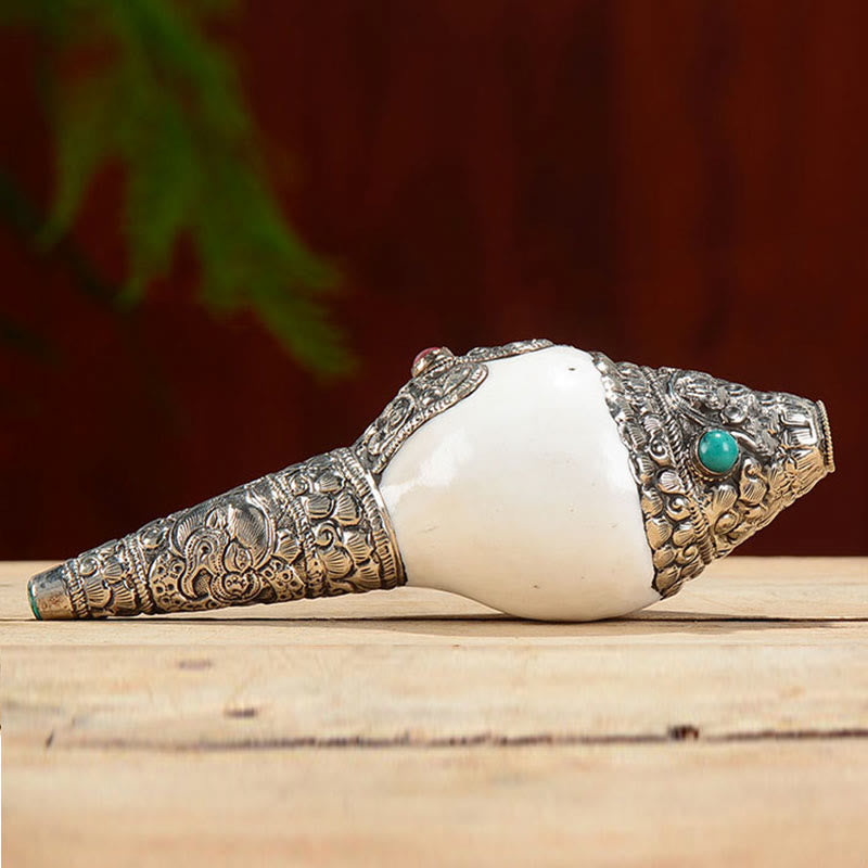 Buddha Stones Tibetan Natural Shankha Conch Shell Seashell Wealth Lucky Home Decoration Decorations BS 10