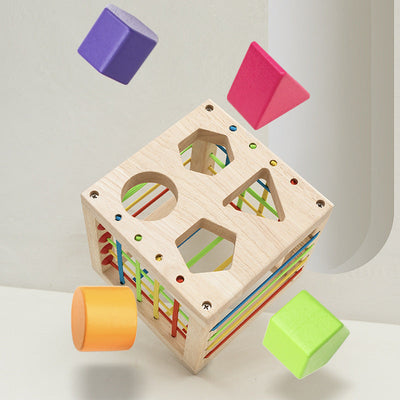 wooden educational toys for infants Early Education Wooden Plug-Le Toy