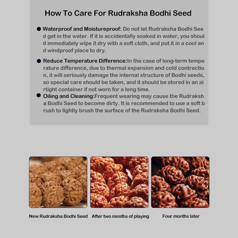 Foviel Tibetan Rudraksha Bodhi Seed Agate Wealth Bracelet