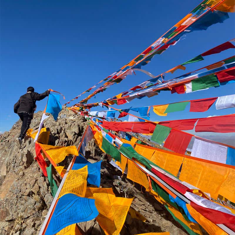 Buddha Stones Tibetan 5 Colors Silk Windhorse Auspicious Outdoor 25 Pcs Prayer Flag TIBETAN PRAYER FLAGS buddhastoneshop 25