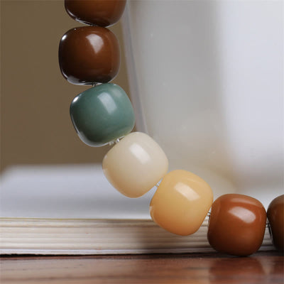Buddha Stones Multicolored Bodhi Seed Keep Away Evil Spirits Bracelet Bracelet BS 4