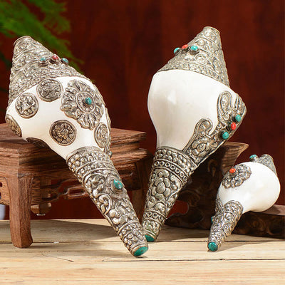 Buddha Stones Tibetan Natural Shankha Conch Shell Seashell Wealth Lucky Home Decoration Decorations BS main