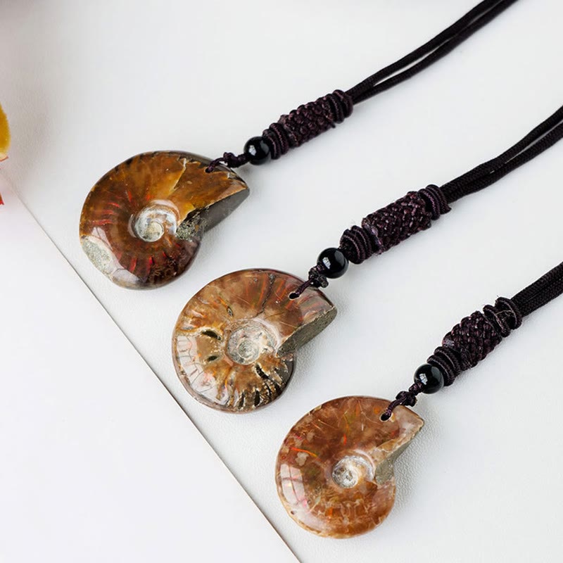 Buddha Stones Natural Ammonite Fossil Snail Pattern Meditation Healing Necklace Pendant Necklaces & Pendants BS 1