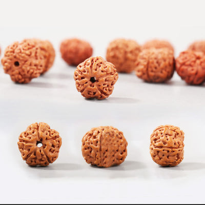 Buddha Stones Tibet Rudraksha Bodhi Seed Wealth Auspiciousness Bracelet Bracelet BS 4