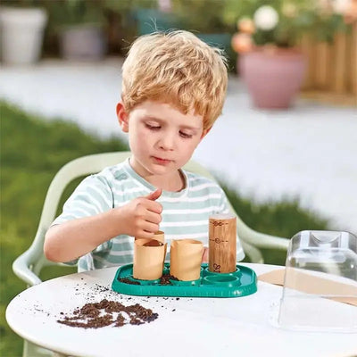 Fidtoy Kit científico de invernadero de bricolaje para cultivar plantas para niños
