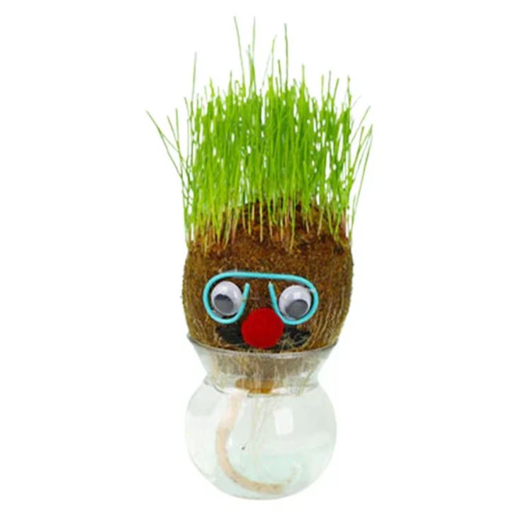 Flowering Houseplant Doll