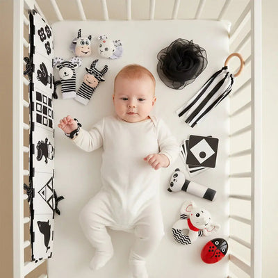 Black & White Sensory Toys for Newborns 0-6M - Early Development Set