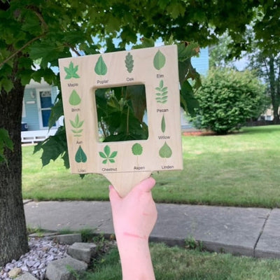 Fidtoy Montessori Guía de la Naturaleza para Niños Juguete de Aprendizaje al Aire Libre