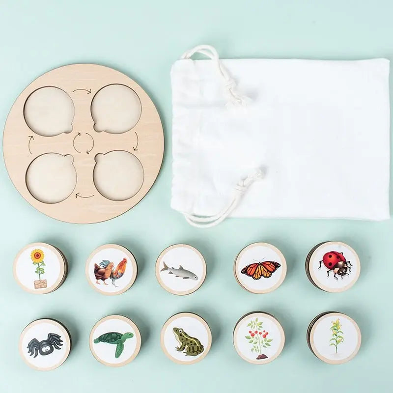 Fidtoy Nature Evolution Game – Montessori Wooden Life Cycle Board for Kids Ages 3-6