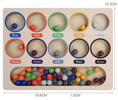 Montessori Colour Beads Sorting Tray Tong Transfer Activity