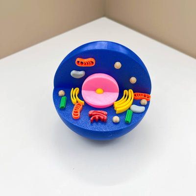 3D Print Animal Cell  and Plant Cell Models Kids STEM Educational Resources Toy