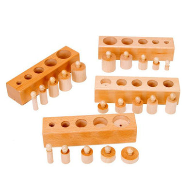 Montessori Knobbed Coloured Cylinders