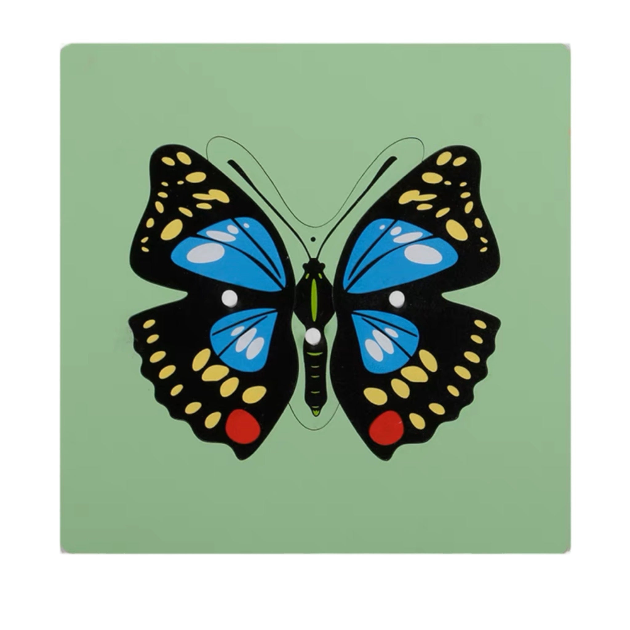 Puzzles d'animaux Montessori Tortue Oiseau Grenouille Cheval Poisson Coq Coccinelle Papillon Jouet éducatif en bois pour la maternelle et la petite enfance