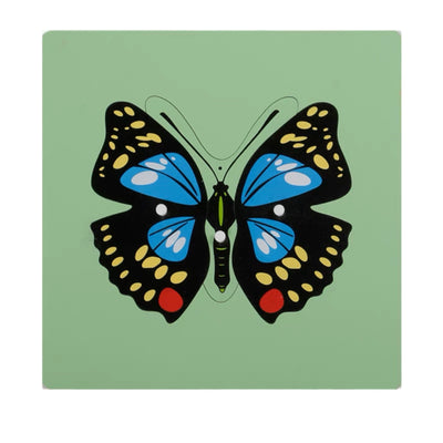 Puzzles d'animaux Montessori Tortue Oiseau Grenouille Cheval Poisson Coq Coccinelle Papillon Jouet éducatif en bois pour la maternelle et la petite enfance