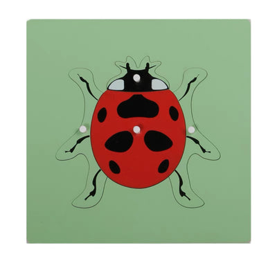 Puzzles d'animaux Montessori Tortue Oiseau Grenouille Cheval Poisson Coq Coccinelle Papillon Jouet éducatif en bois pour la maternelle et la petite enfance