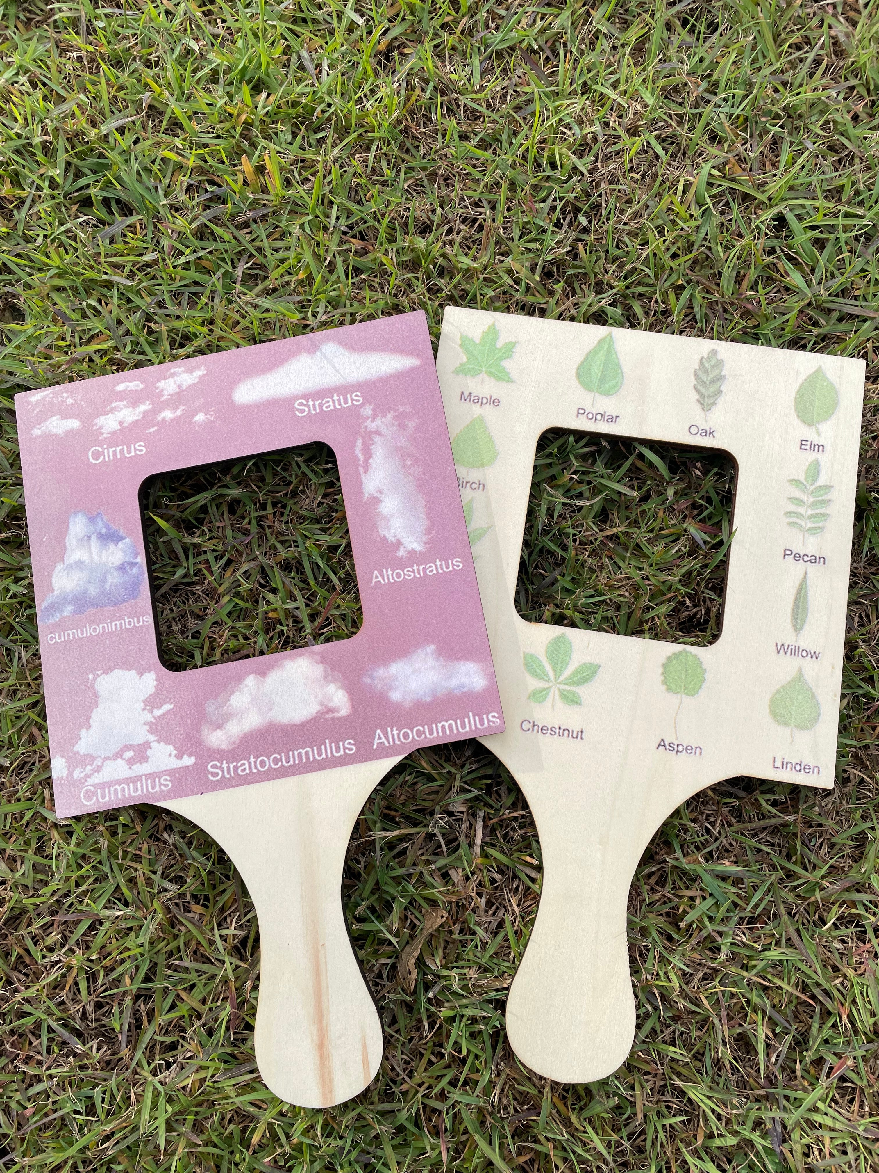 Gran visor de guía de naturaleza de madera de pino
