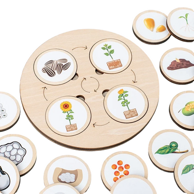 Fidtoy Life Cycle Board Montessori Nature Learning Toy for Kids