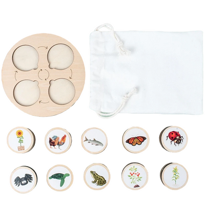 Fidtoy Life Cycle Board Montessori Nature Learning Toy for Kids