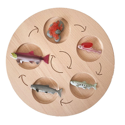 Fidtoy Montessori Life Cycle Board Wooden Educational Science Toy for Kids