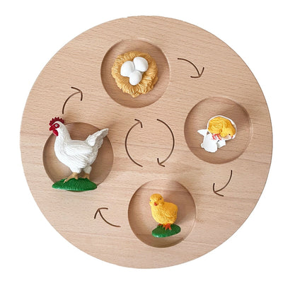 Fidtoy Montessori Life Cycle Board Wooden Educational Science Toy for Kids