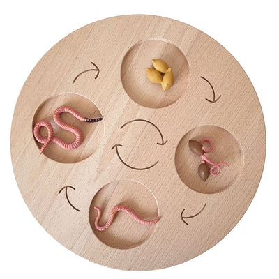 Fidtoy Montessori Life Cycle Board Wooden Educational Science Toy for Kids