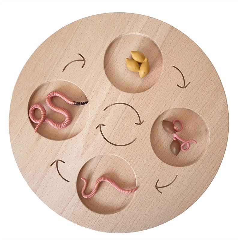 Fidtoy Montessori Life Cycle Board Wooden Educational Science Toy for Kids