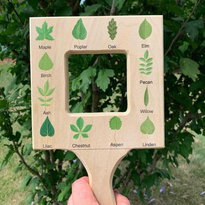 Fidtoy Montessori Guía de la Naturaleza para Niños Juguete de Aprendizaje al Aire Libre