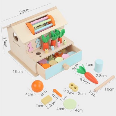 Montessori Multi Activities Geometric Shape Sorting Box Toddler Fine Motor Skill  Wooden Toy Display Stand