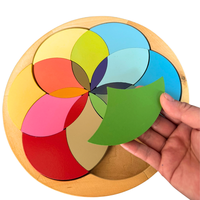 27cm Large Montessori Deluxe Primary Colours Wheel Learning Board Puzzle