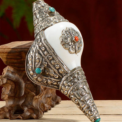 Buddha Stones Tibetan Natural Shankha Conch Shell Seashell Wealth Lucky Home Decoration Decorations BS 13
