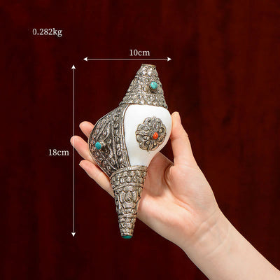 Buddha Stones Tibetan Natural Shankha Conch Shell Seashell Wealth Lucky Home Decoration Decorations BS Medium Shankh 18*10cm