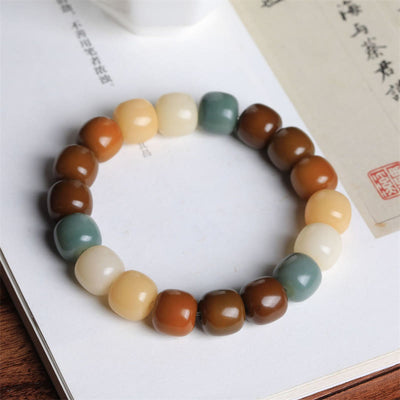 Buddha Stones Multicolored Bodhi Seed Keep Away Evil Spirits Bracelet Bracelet BS 2