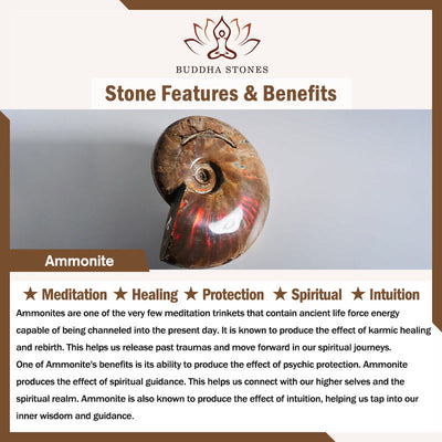 Buddha Stones Natural Ammonite Fossil Snail Pattern Meditation Healing Necklace Pendant Necklaces & Pendants BS 8