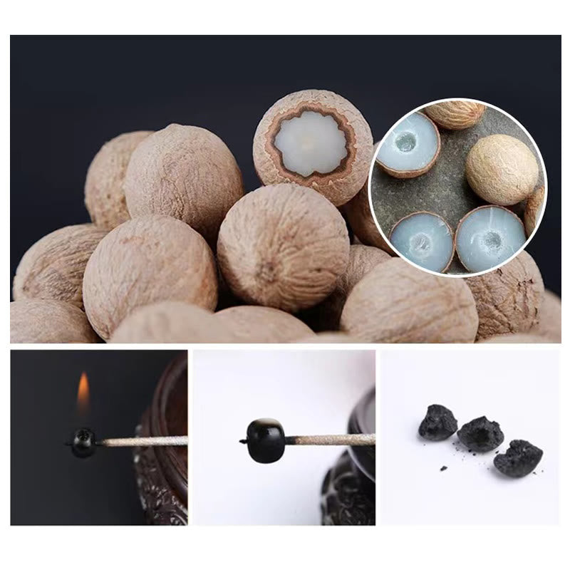 Buddha Stones Natural Bodhi Seed Red Agate Bodhi Calm Harmony Engraved Pumpkin Bead Lotus Bracelet Bracelet BS 15