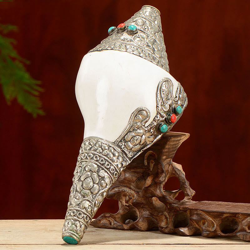 Buddha Stones Tibetan Natural Shankha Conch Shell Seashell Wealth Lucky Home Decoration Decorations BS 12