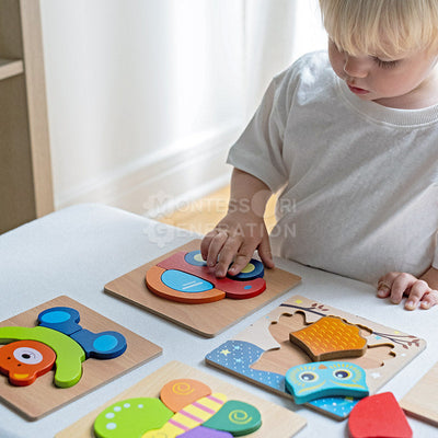 Juego de rompecabezas de madera Fidtoy para niños pequeños – 6 rompecabezas educativos para niños de 2+ años