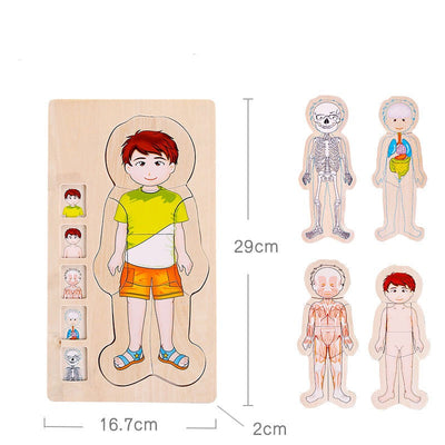 Onshine Puzle de anatomía 3D de madera - Juguetes de motricidad fina